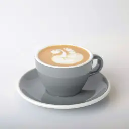فلات وايت